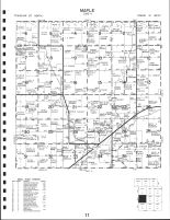 Code 11 - Maple Township, Battle Creek, Ida County 1993